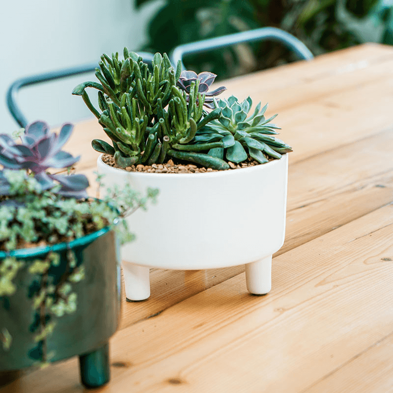 Pisa Bowl planter, White