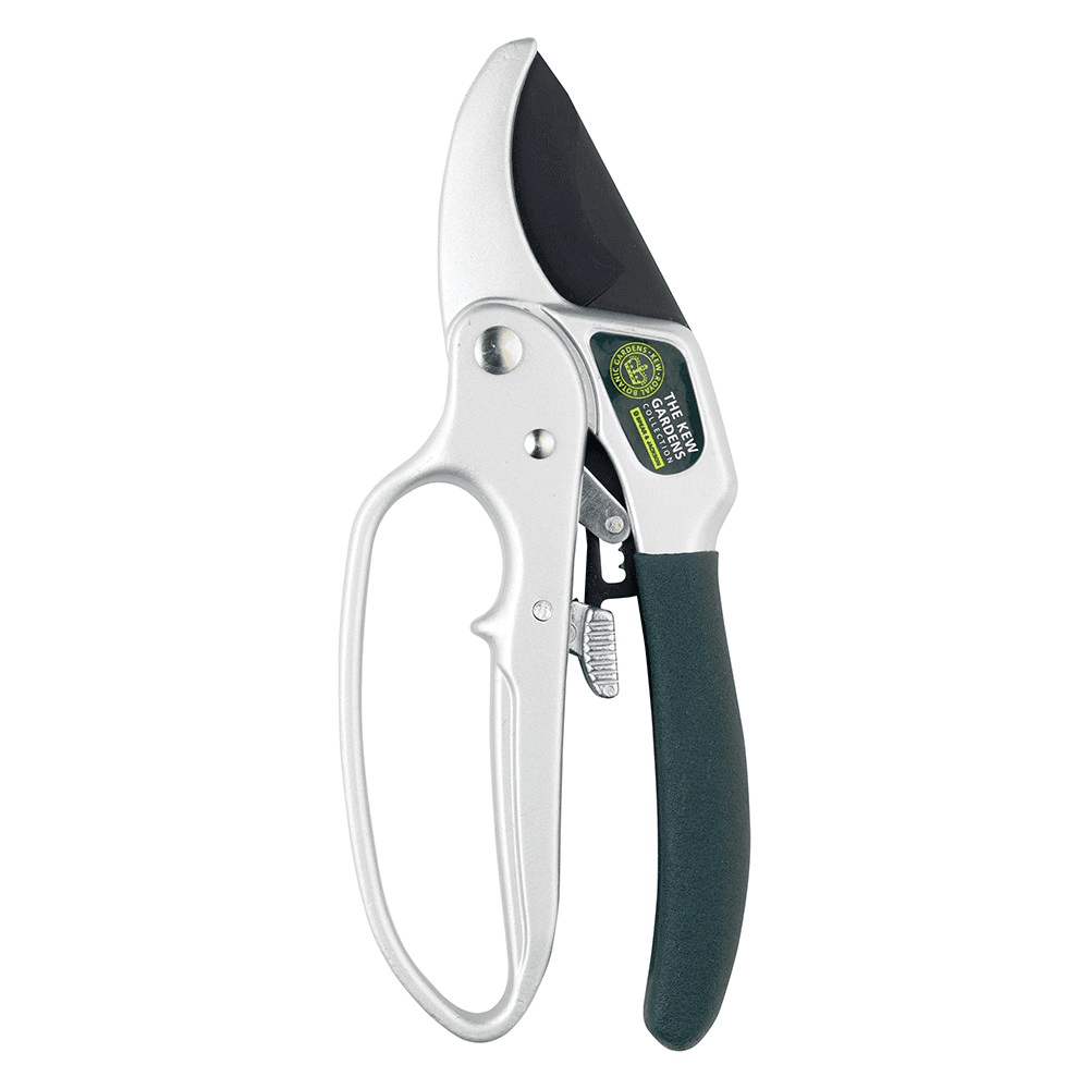 Ratchet anvil secateurs, Black/Silver