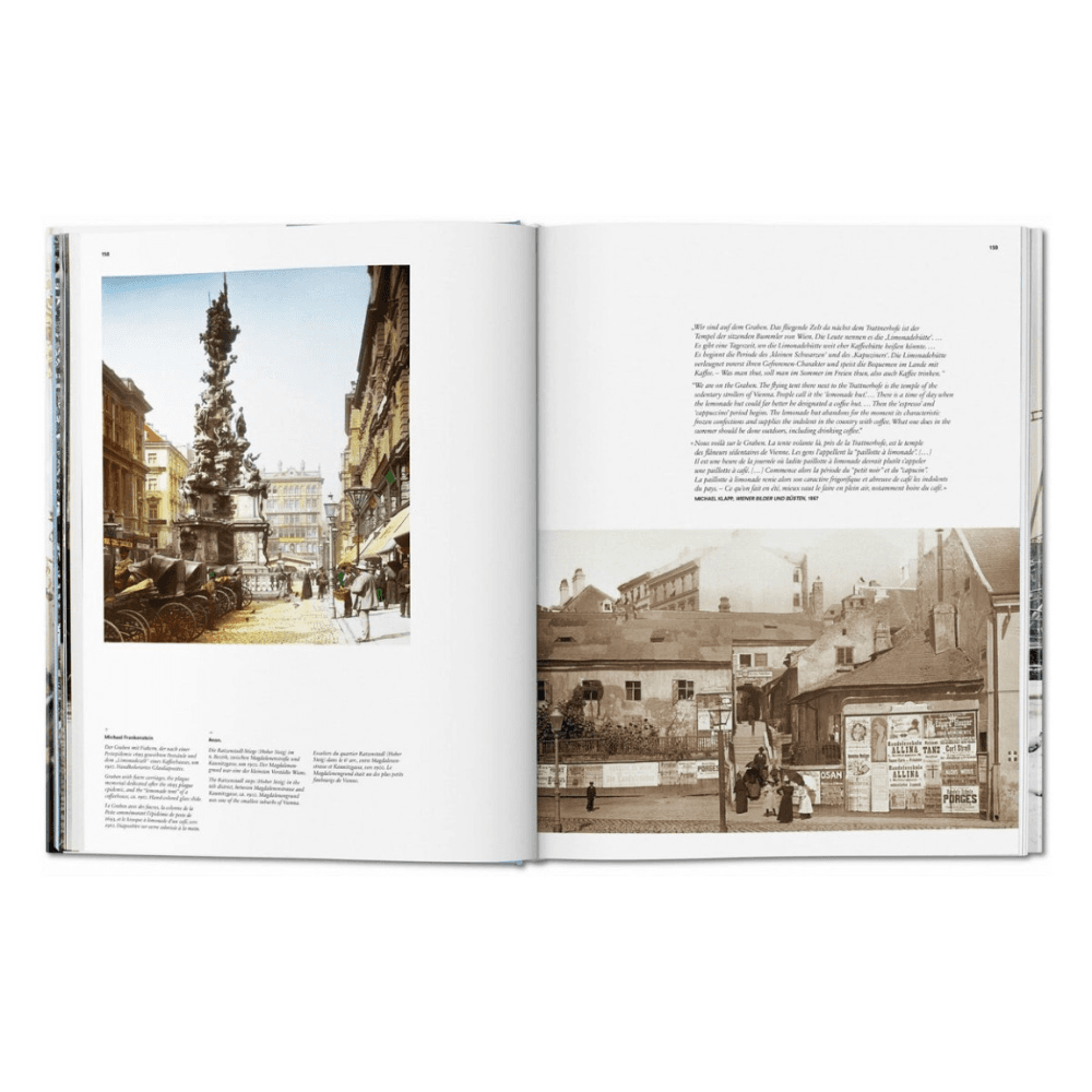 Vienna: Portrait of a City
