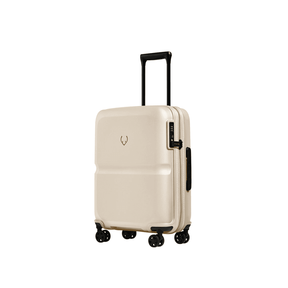 Single Stripe Cabin Suitcase