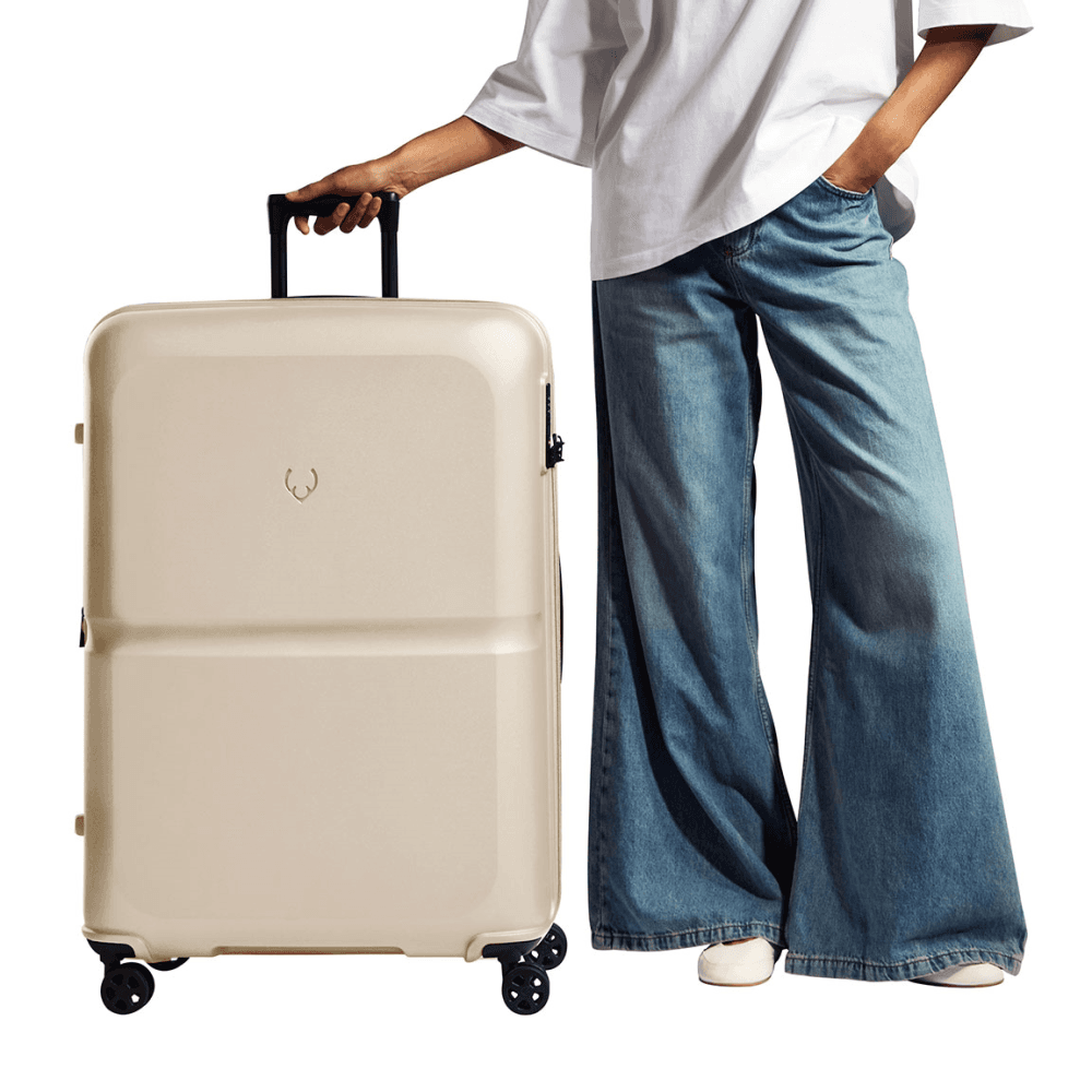 Single Stripe Expandable Suitcase