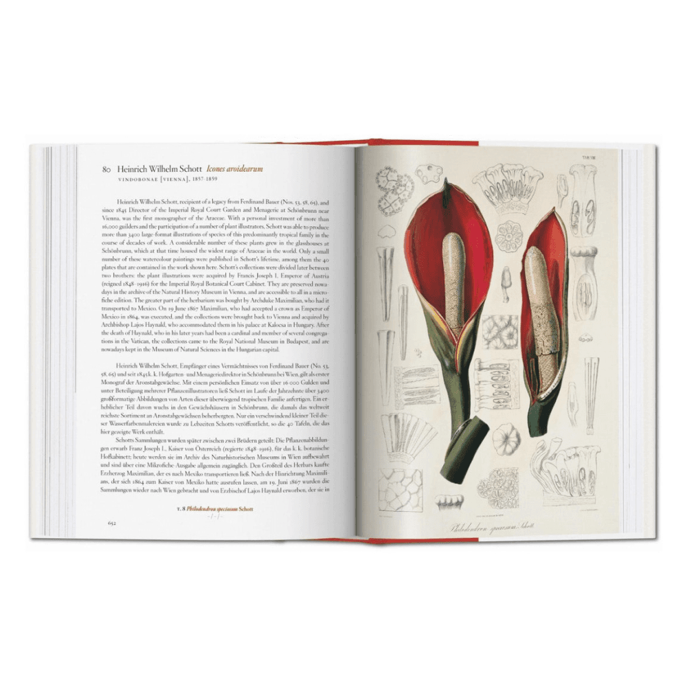 A Garden Eden: Masterpieces of Botanical Illustration