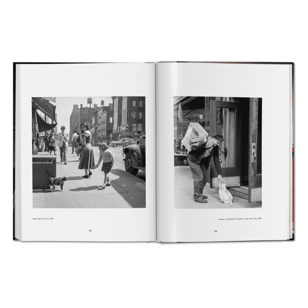 Walter Chandoha: Cats, Photographs 1942-2018
