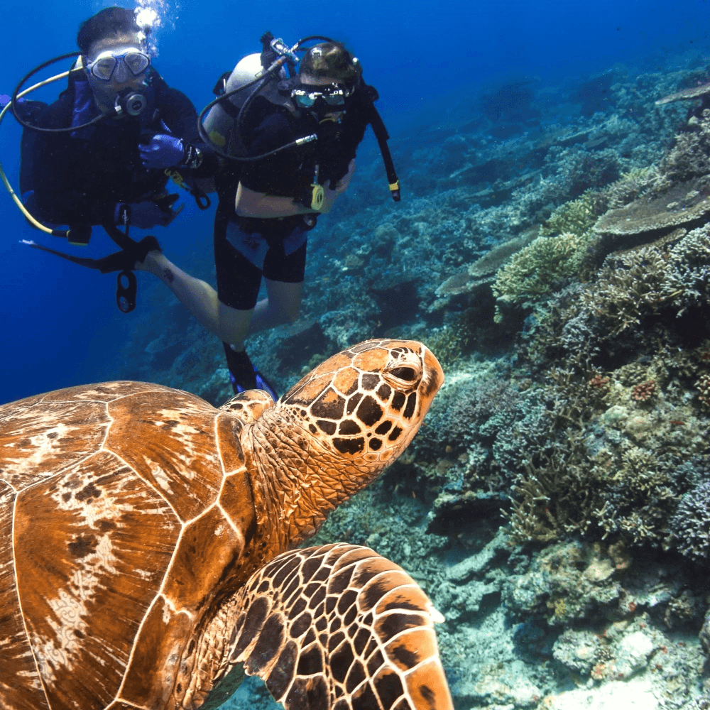 Scuba diving PADI course fund