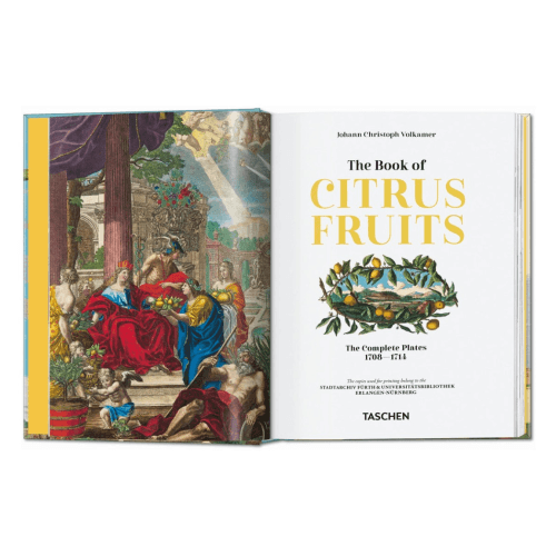 Image showing the Volkamer: The Book of Citrus Fruits product.