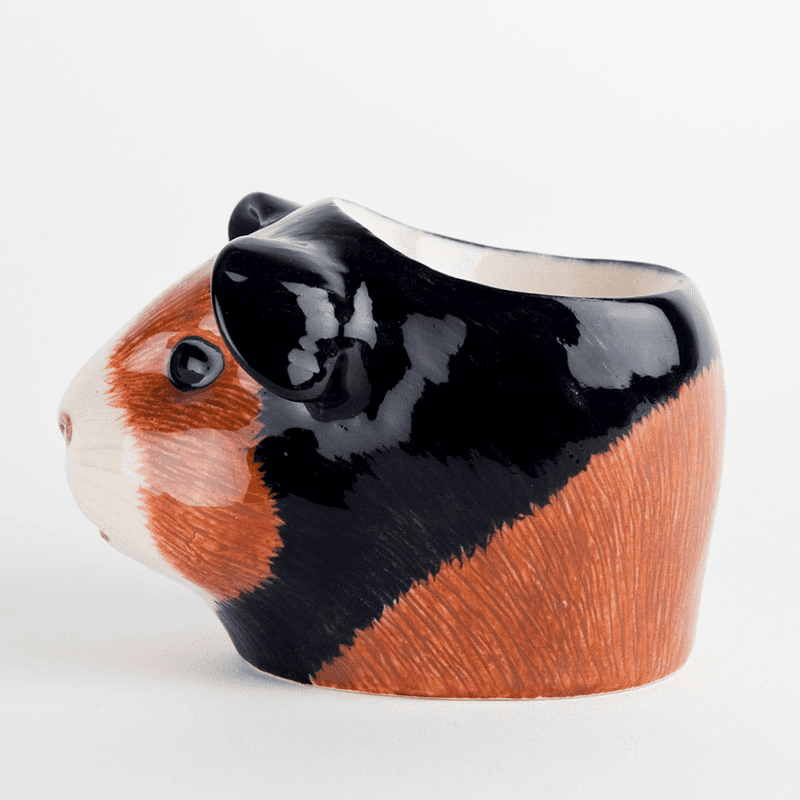 Guinea Pig Egg Cup, Multi