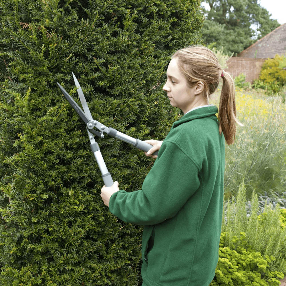 Kew Razorsharp Hedge Shears, Silver/Black/Grey