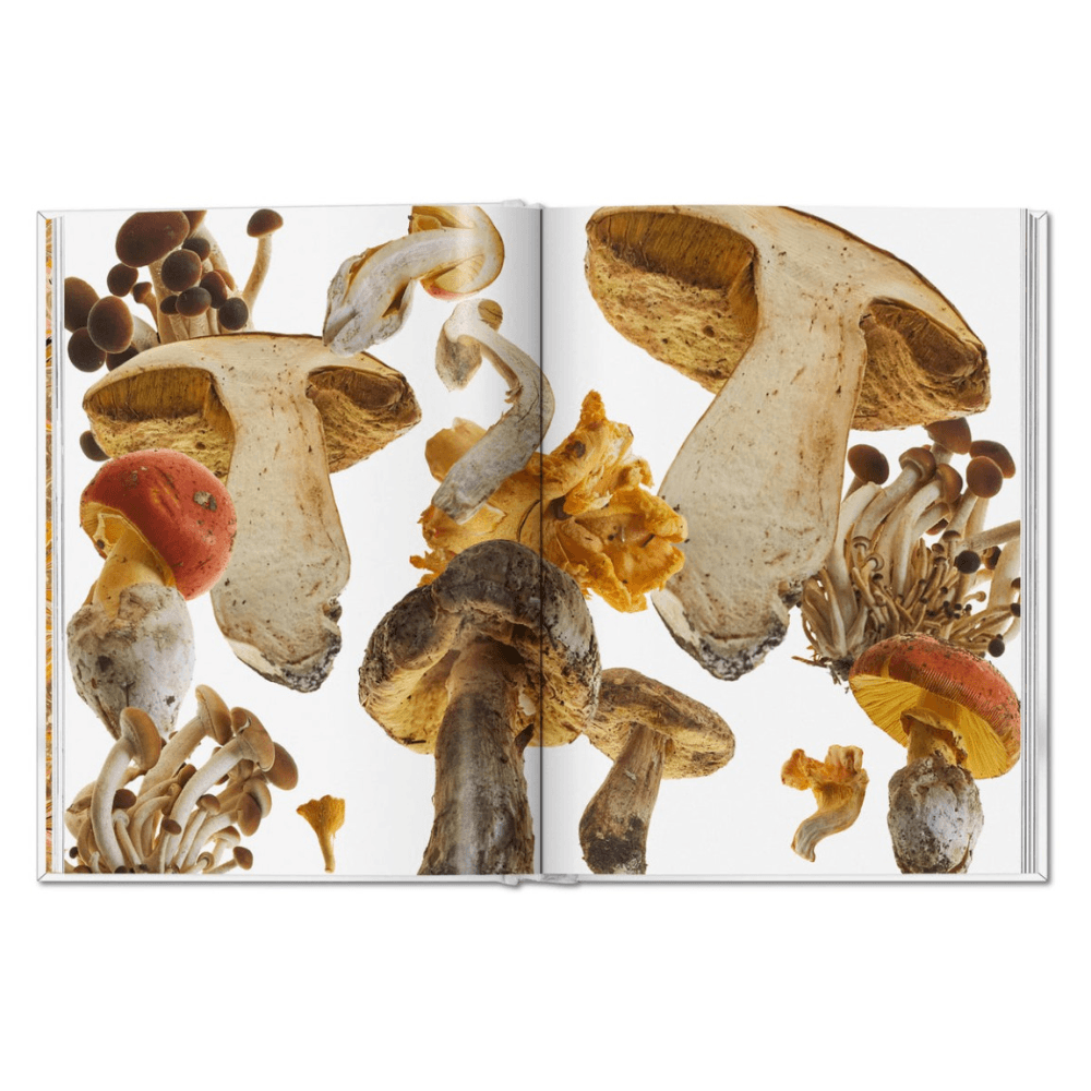 The Gourmand's Mushroom: A Collection of Stories & Recipes