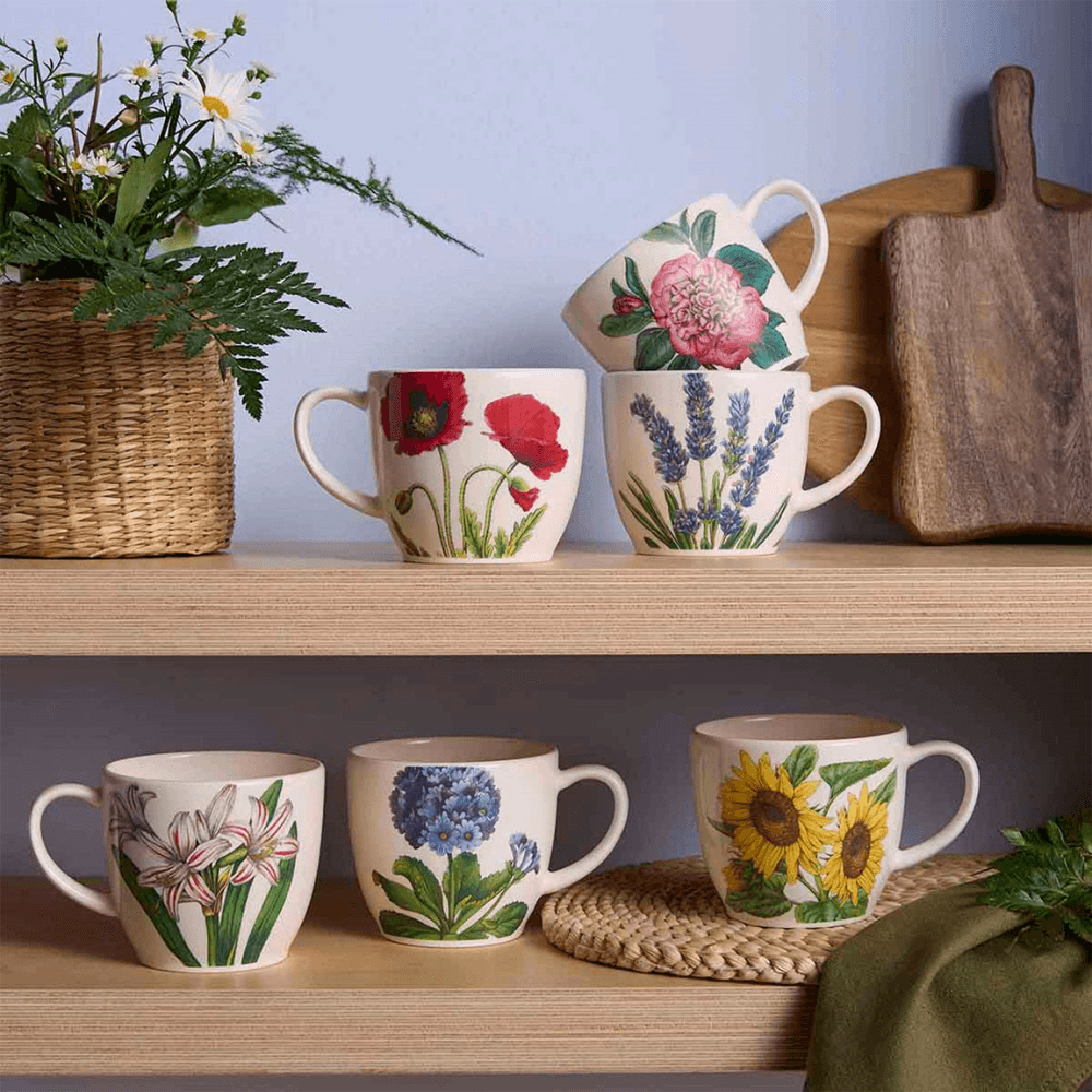 Botanic Garden Bloom Set of 6 Latte Mugs, Multi