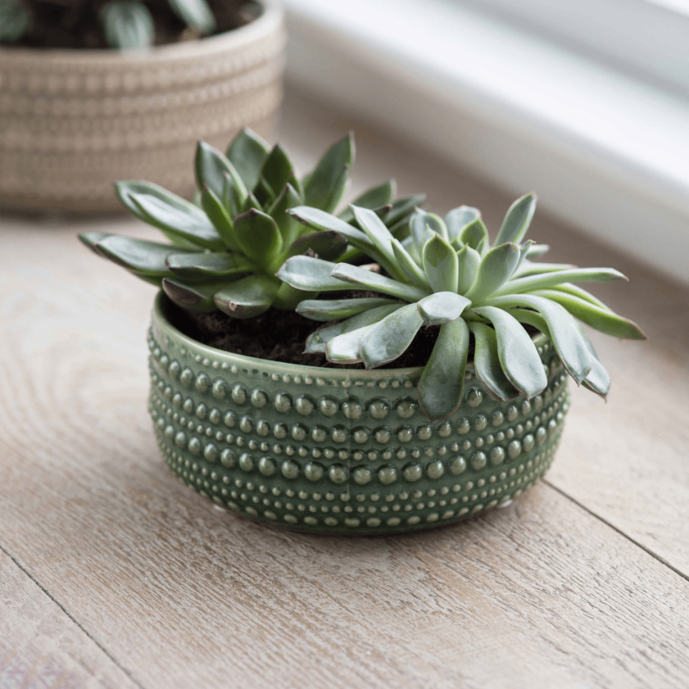 Castello Bowl