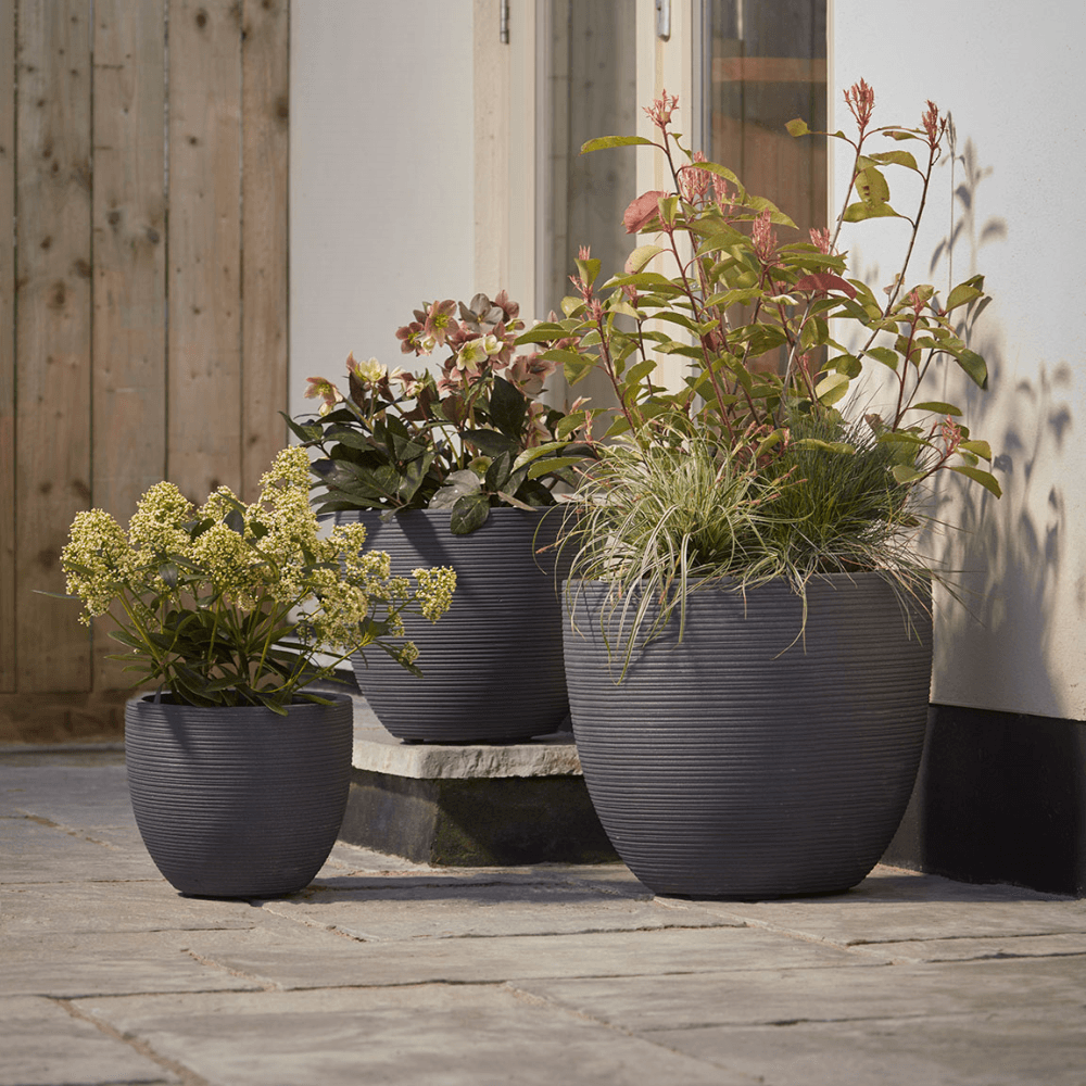 Celano Set of 3 Planters, Black