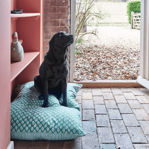 Image showing the Ditsy Dog Bed product.