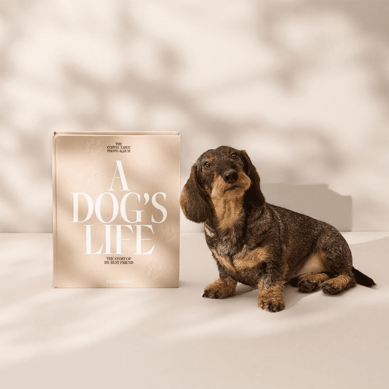 A Dog's Life Dog Photo Album, Beige