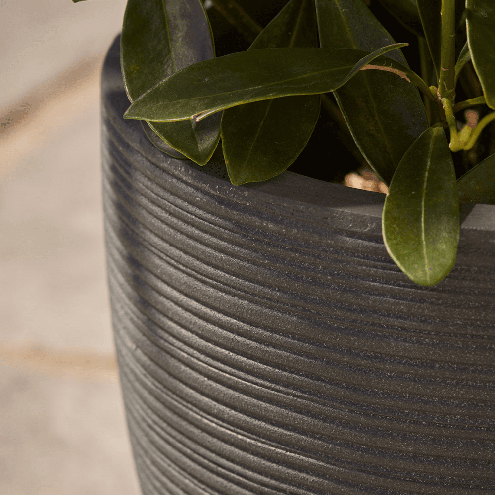 Celano Set of 3 Planters, Black