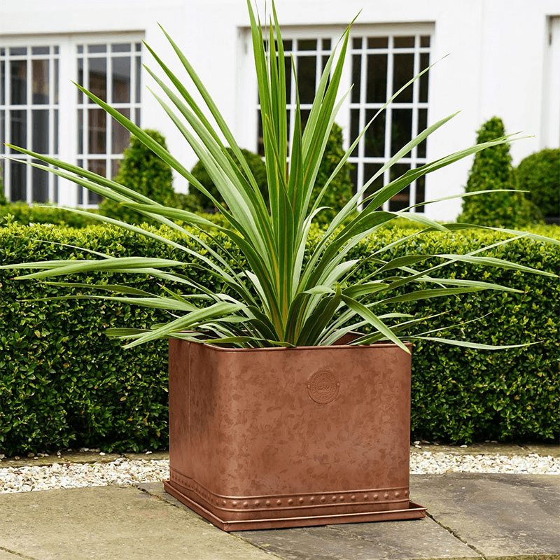 Kew Temperate House Regency Outdoor Planter, Copper