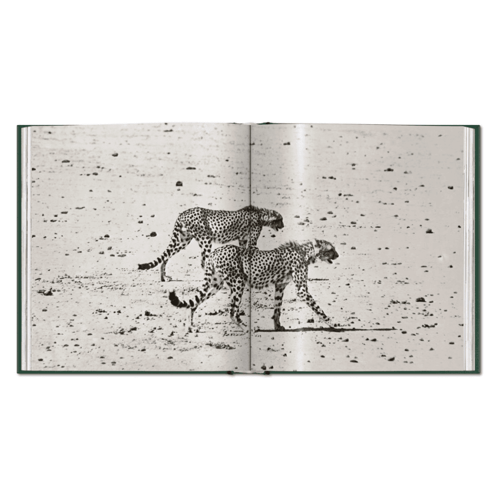 Peter Beard: The End of the Game