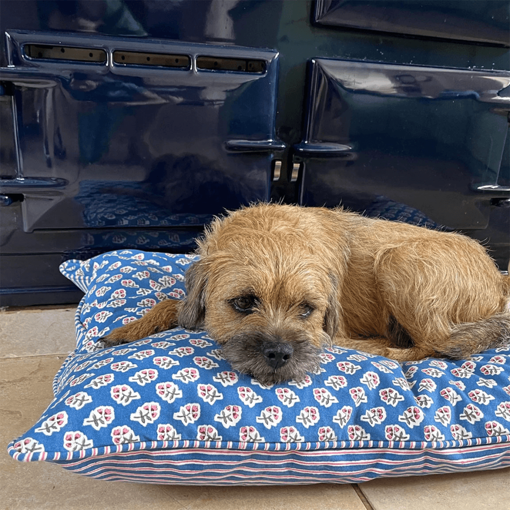 Ditsy Dog Bed