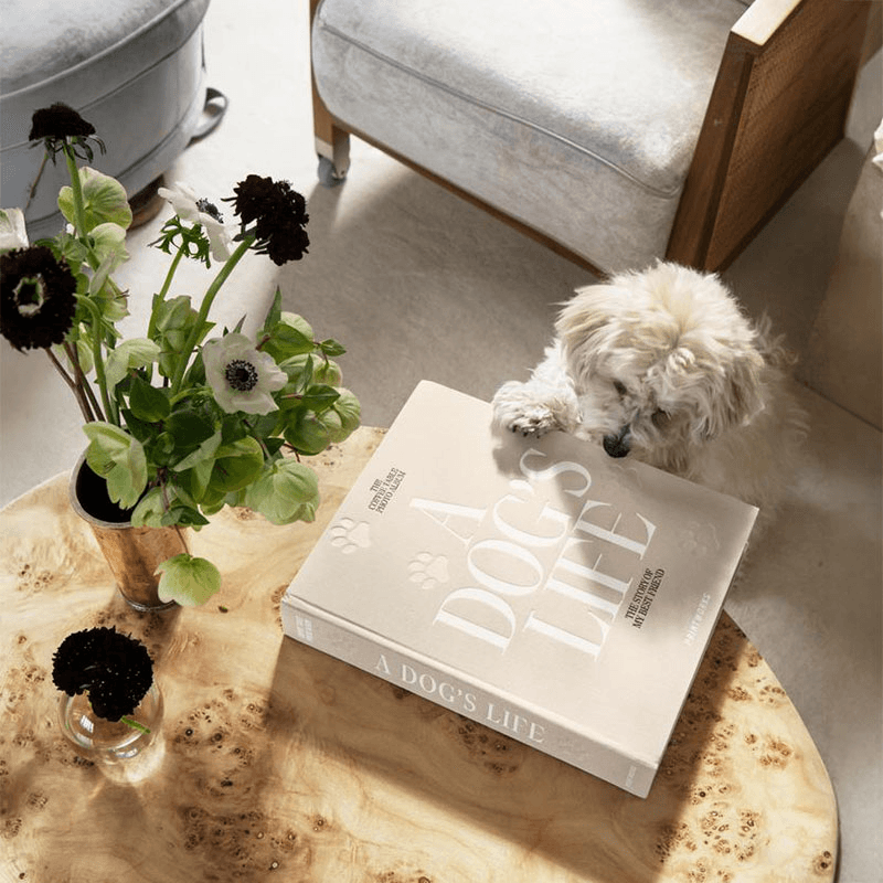 A Dog's Life Dog Photo Album, Beige