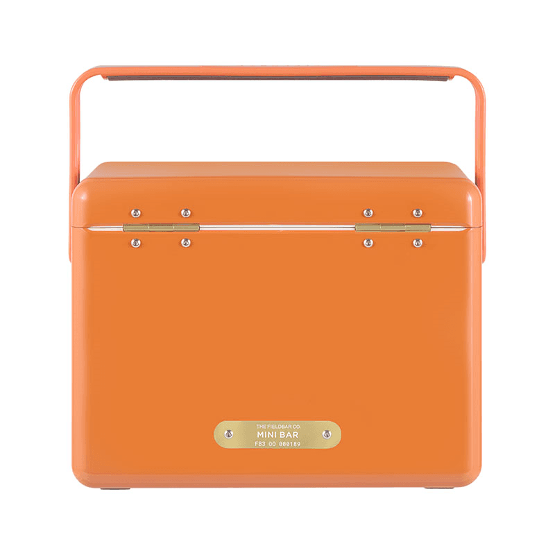 Mini Bar and Swing Sling