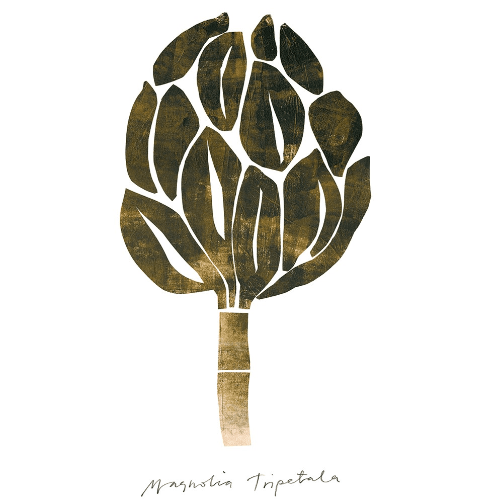 Magnolia, Nygards Maria Bengtsson, Green