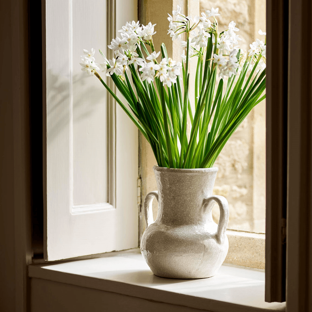 Ravello Vase with Handles, White