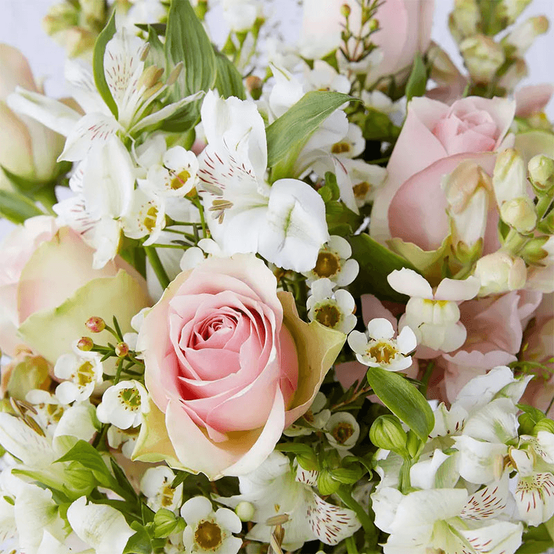 Regular Letterbox flower subscription