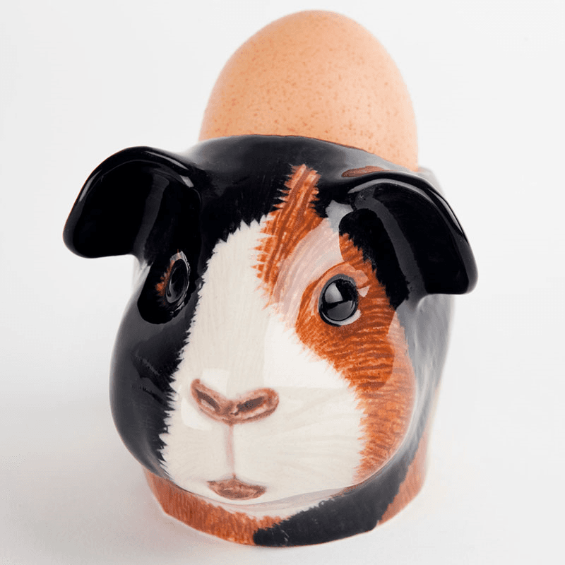 Guinea Pig Egg Cup, Multi