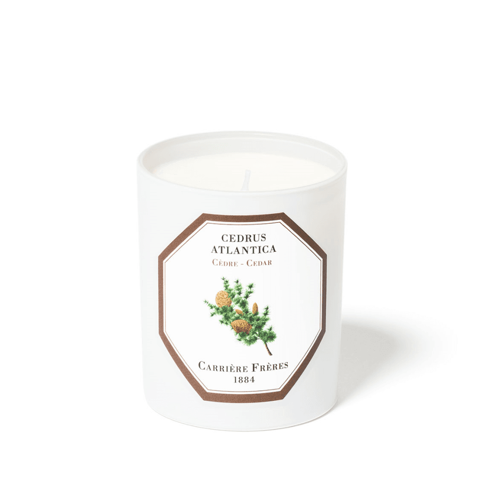 Cedar Scented Candle