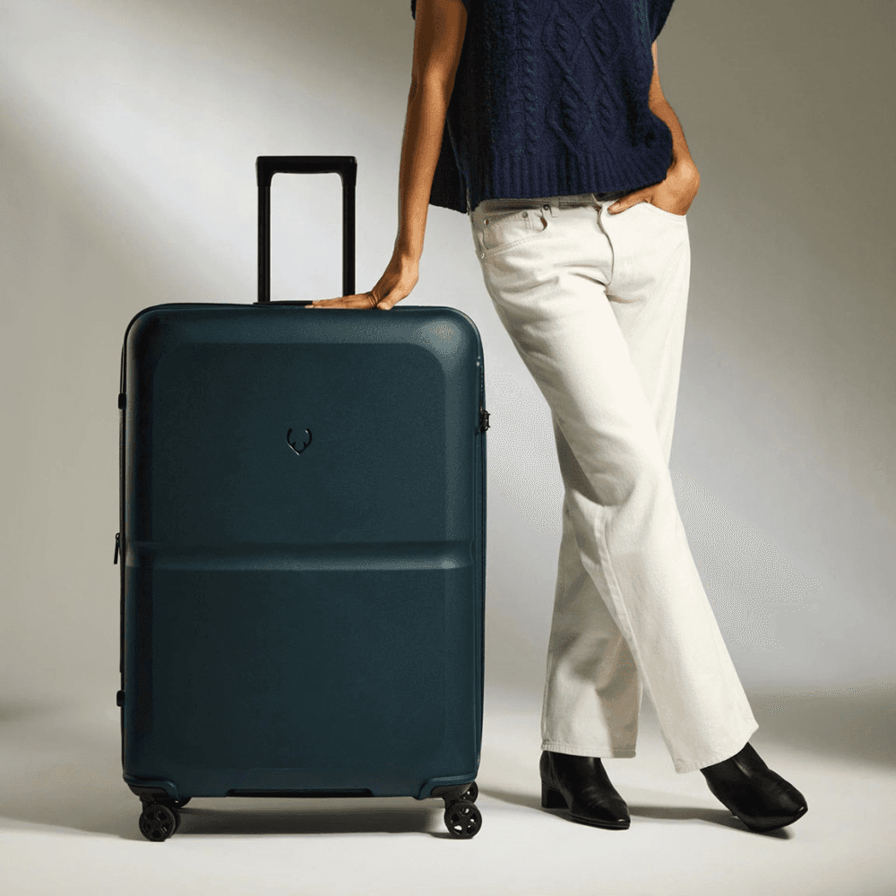 Single Stripe Suitcase
