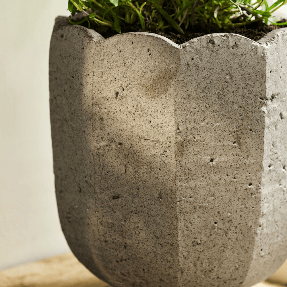 Lidstone Scallop Plant Pot, Dark Grey