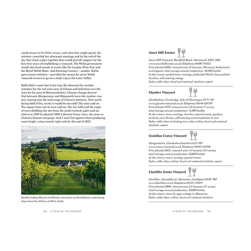 English Wine: The Ultimate Guide To Discovering English Wine
