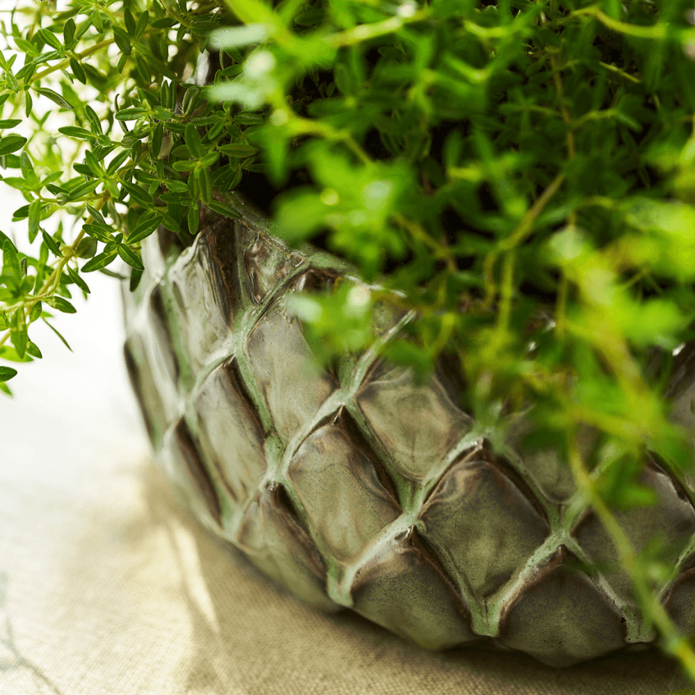 Wilcot Bowl, Green