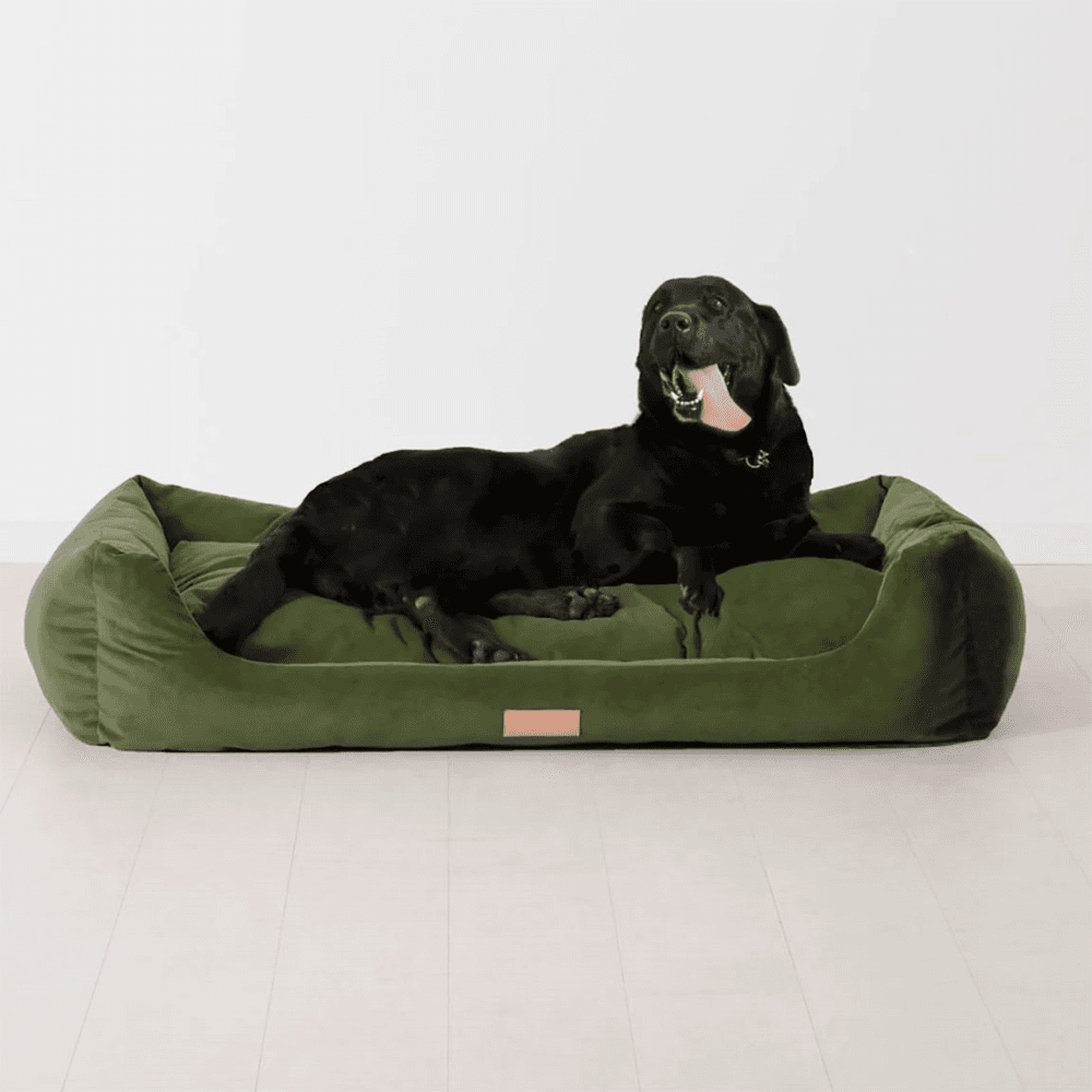 K9-02 Dog Basket