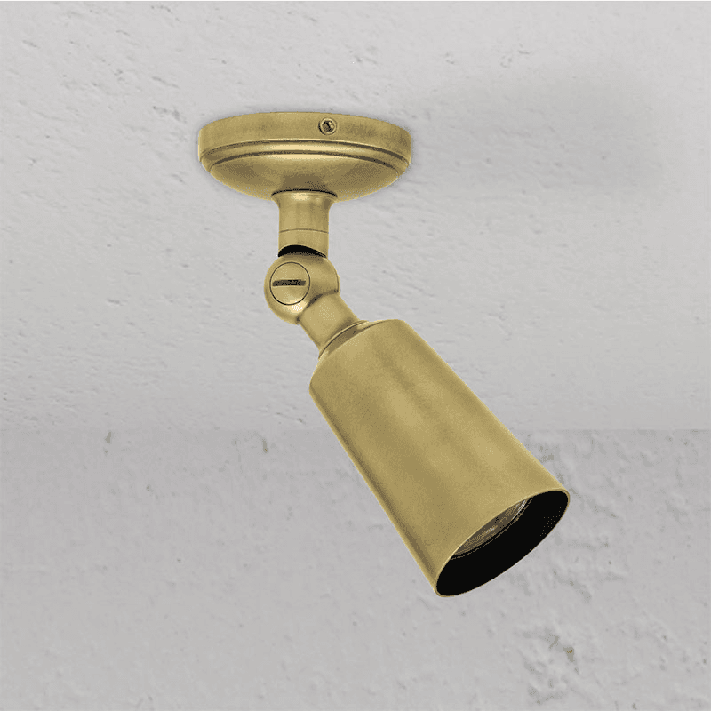 Baylis Single Spotlight