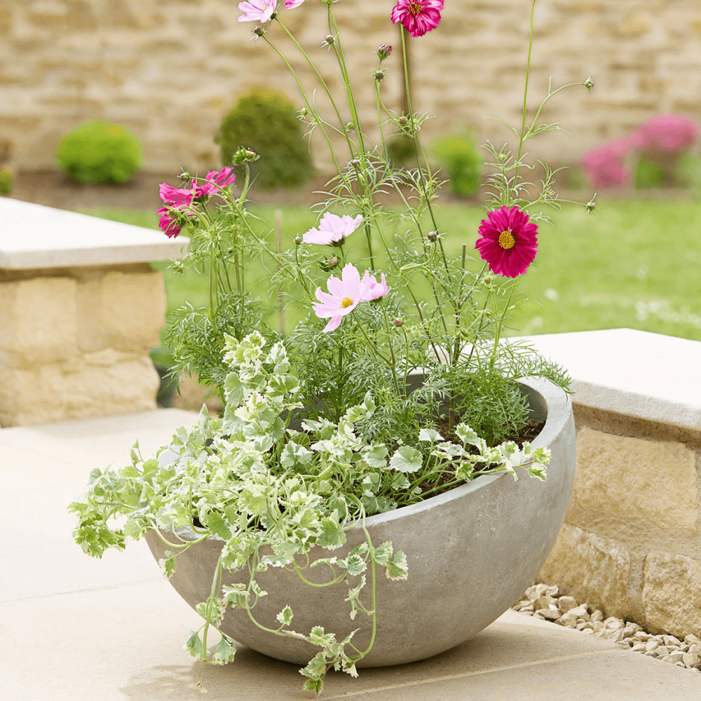Alder Planter, Grey