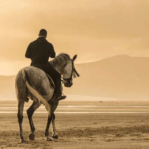 Luxury villa retreat and sunset beach horse riding for two in Andalusia