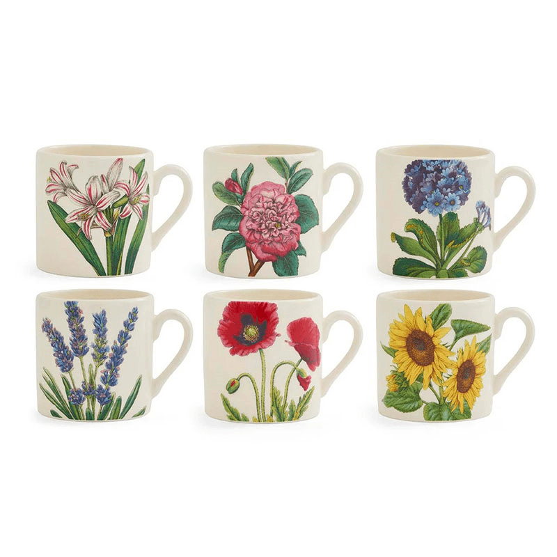 Botanic Garden Bloom Set of 6 Coffee Mugs, Multi