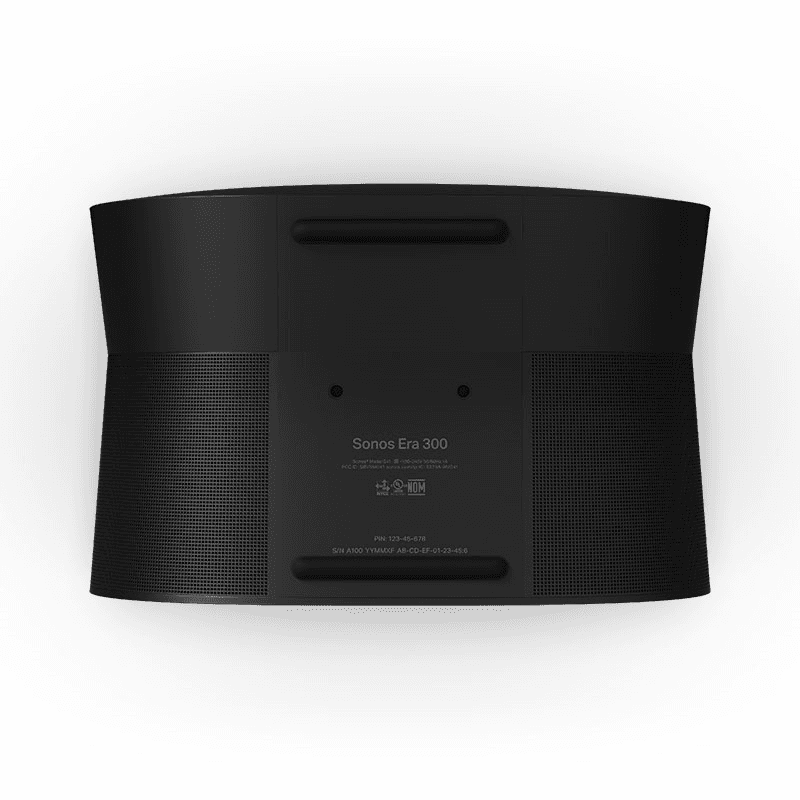 ERA 300 Wireless Speaker