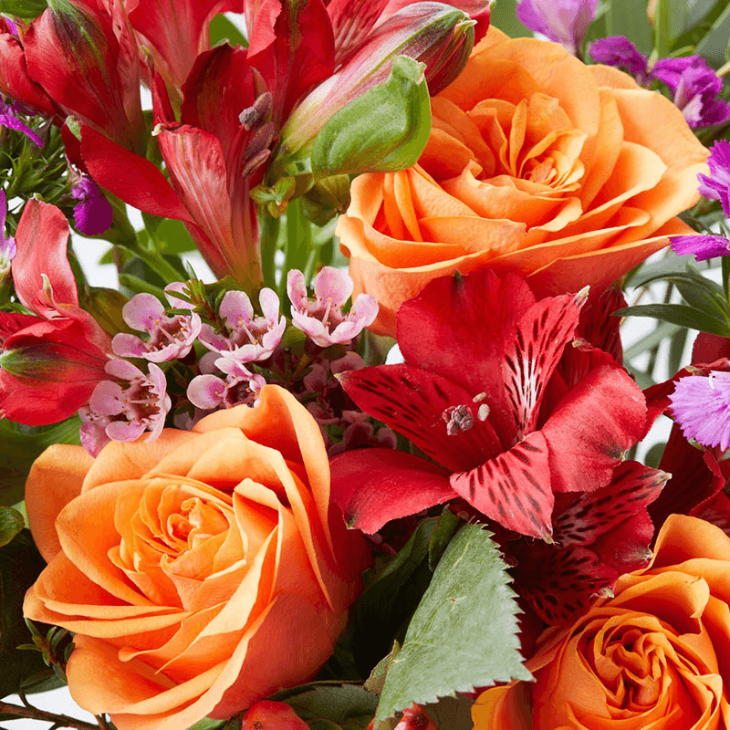 Regular Letterbox flower subscription