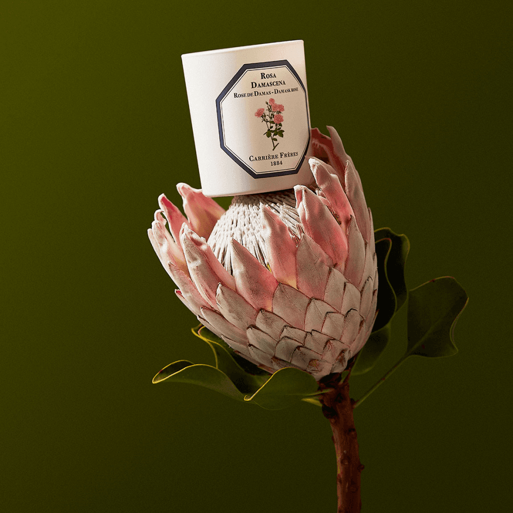 Damask Rose Scented Candle