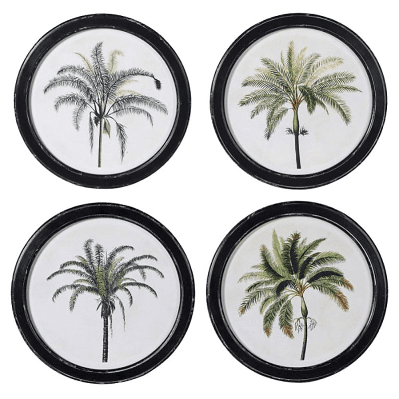 Palm Set of 4 Framed Prints