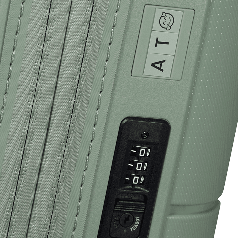 Dashpop Cabin Suitcase