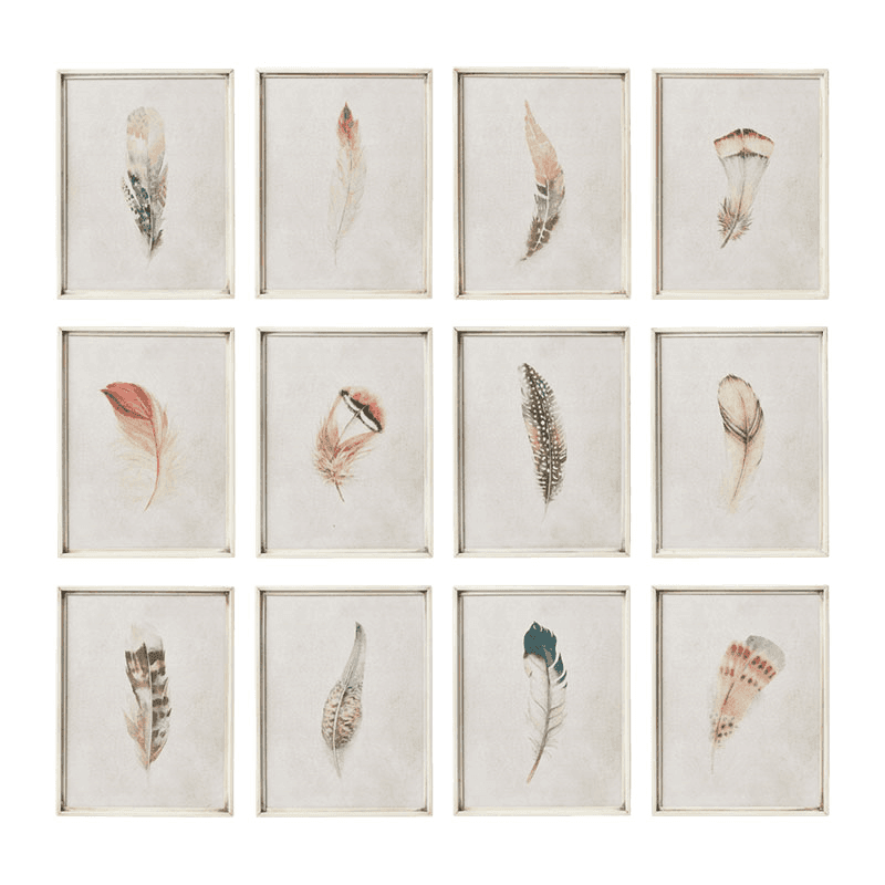 Feather Set of 12 Framed Prints