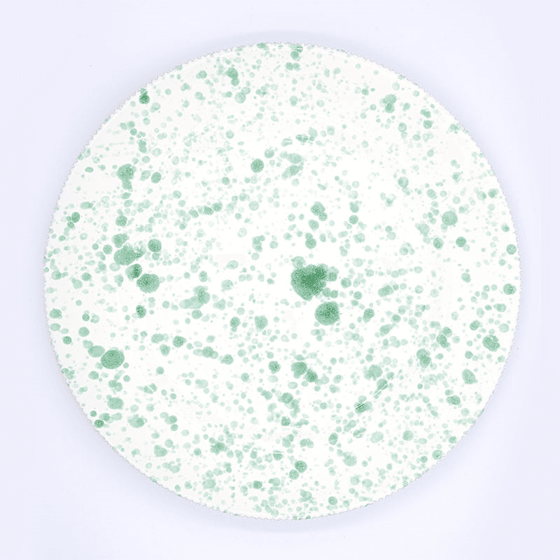 Splatter Dinner Plate