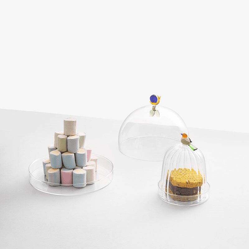 Animal Farm Snail Dome with Dish