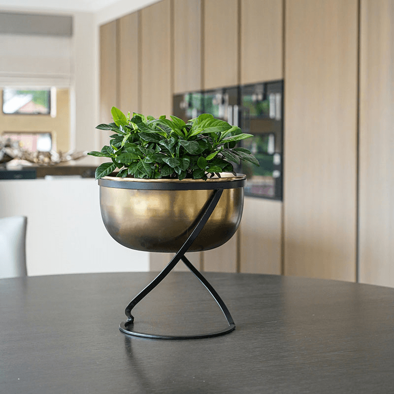 Kensington Indoor Planter on Stand