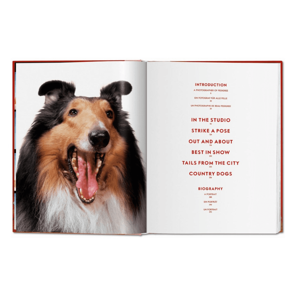Walter Chandoha: Dogs, Photographs 1941-1991
