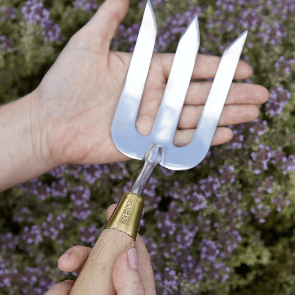Boxed Fork, Stainless Steel