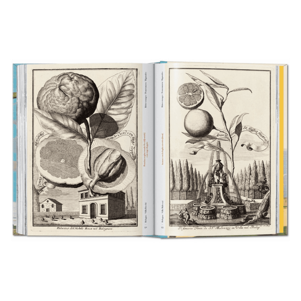 Volkamer: The Book of Citrus Fruits