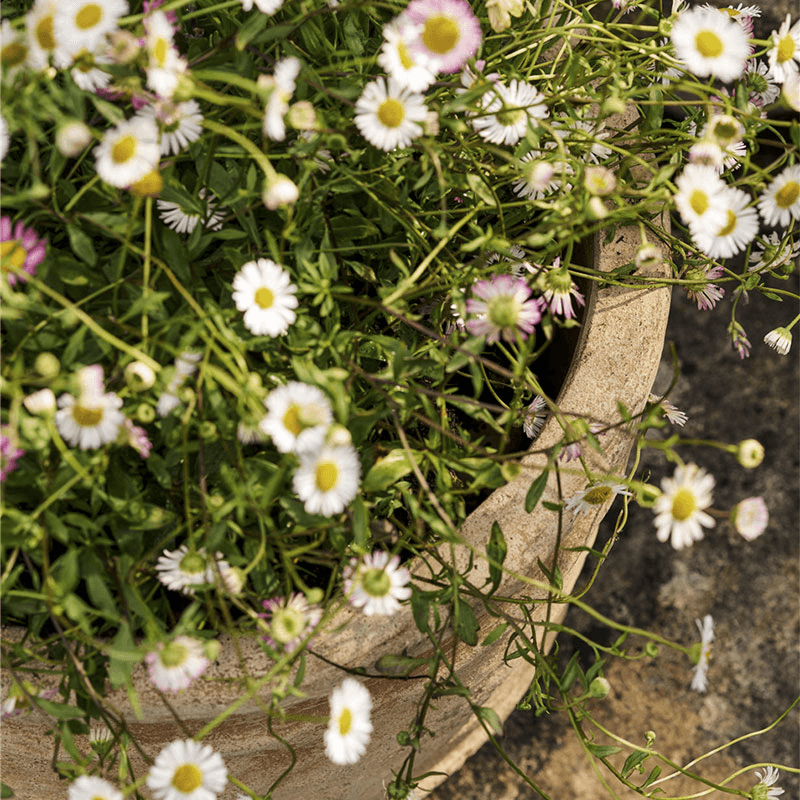 Haresfield Planter